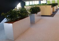Amenity planting for interiors